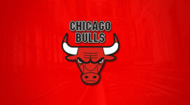The Chicago Bulls397376358 272x150 - The Chicago Bulls - Chicago, Bulls